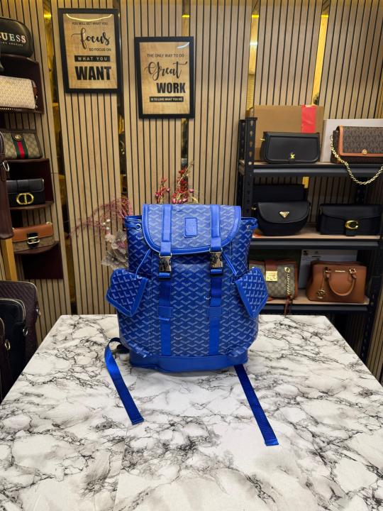 Goyard-Alpin-chevron