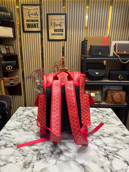 Goyard-Alpin-chevron