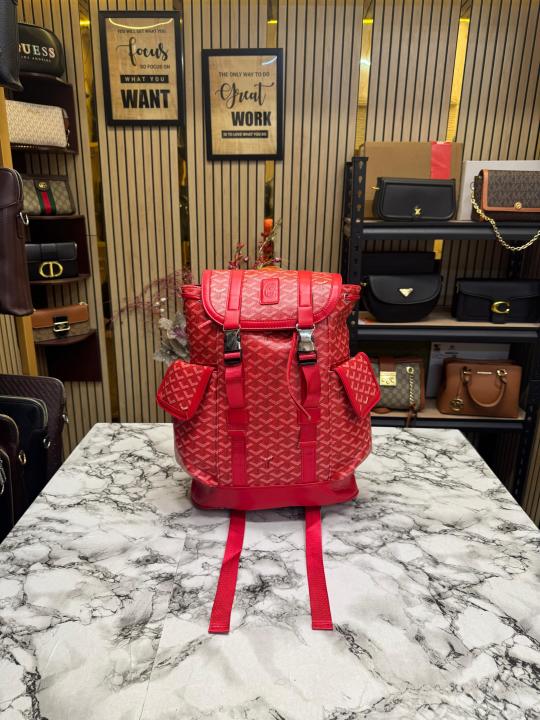 Goyard-Alpin-chevron