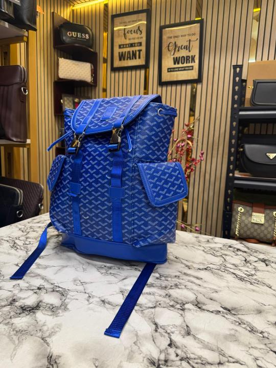 Goyard-Alpin-chevron