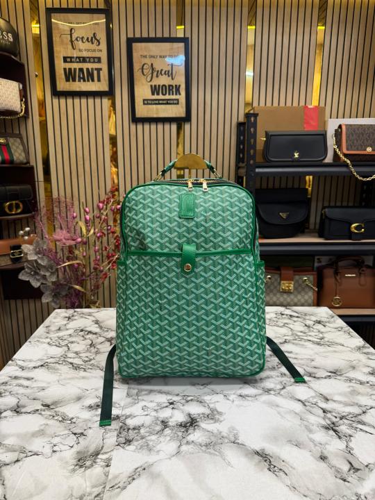Goyard-Alpin-chevron