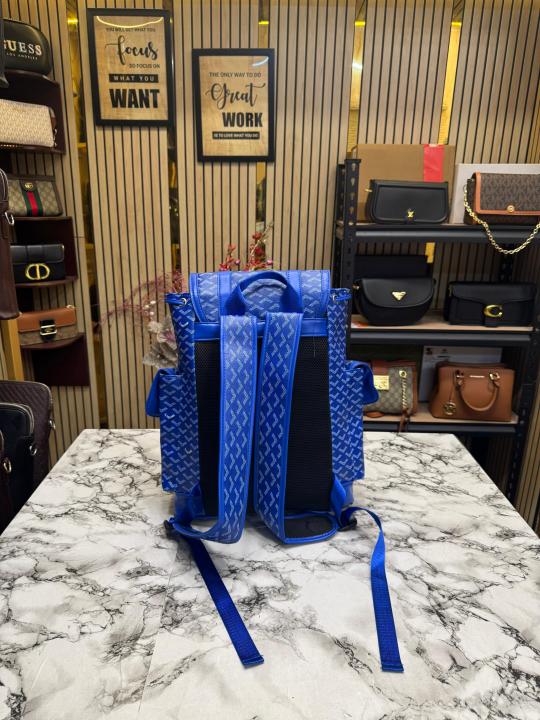 Goyard-Alpin-chevron